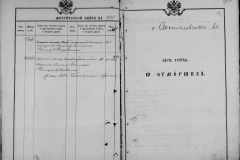 0484-001-1029-101