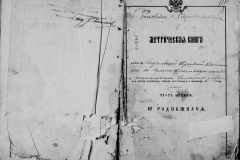 0484-001-1029-113