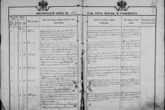 0484-001-1029-115