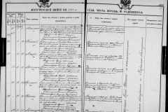 0484-001-1125-219