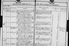 0484-001-1125-223