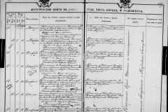 0484-001-1125-225