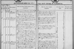 0484-001-1125-229