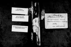 0484-001-1424-001