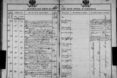 0484-001-1426-196