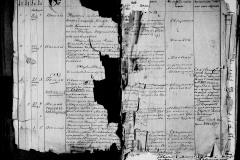 0484-001-1427-003