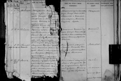 0484-001-1427-007