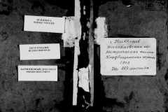 0484-001-1428-001