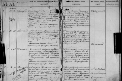 0484-001-1428-005