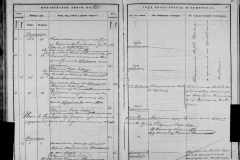 0484-001-1439-181