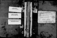 0484-001-1443-001