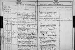 0484-001-1443-099