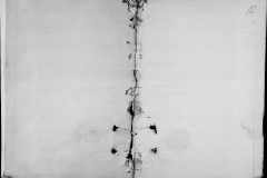 0484-001-1444-081