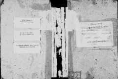 0484-001-1447-001