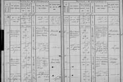 0484-001-1460-036