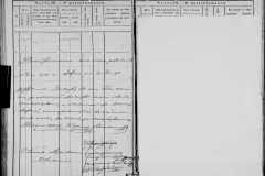 0484-001-1462-229