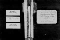0484-001-1482-001