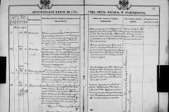 0484-001-1578-006