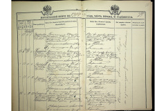 0484-001-2251-181