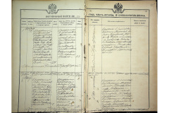 0484-001-2251-217