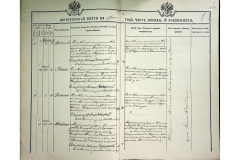 0484-001-2252-009