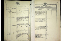 0484-001-2266-003