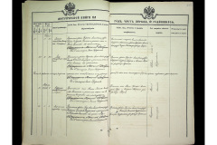 0484-001-2266-219