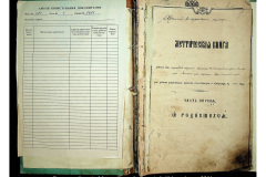 0484-001-2281-002