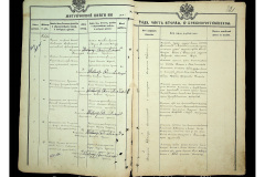 0484-001-2281-036