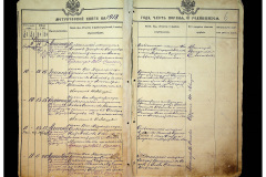 0484-001-2304-006