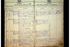 0484-001-2304-019
