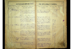 0484-001-2305-007