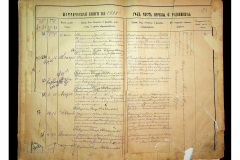 0484-001-2305-026