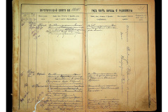 0484-001-2305-029