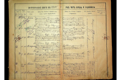 0484-001-2305-031