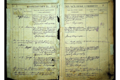 0484-001-2306-003