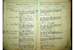 0484-001-2306-004