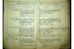 0484-001-2306-006