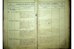 0484-001-2306-011