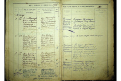 0484-001-2306-020