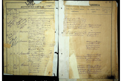 0484-001-2310-003
