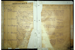 0484-001-2310-005