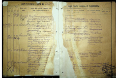 0484-001-2310-006