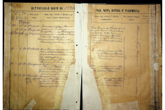 0484-001-2310-010
