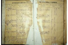 0484-001-2310-012