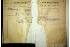 0484-001-2310-017