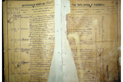 0484-001-2310-018