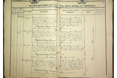 0484-001-2311-005