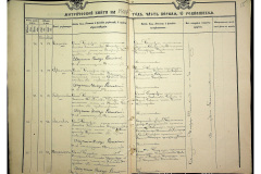 0484-001-2311-016