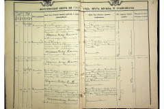 0484-001-2311-017